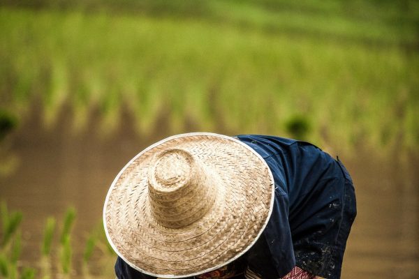 eduardo-prim-3u51-uLQICc-unsplash (1)