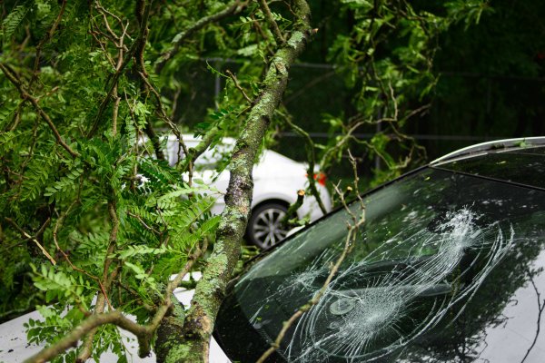 michael-jin-zI_R7sUQVF0-unsplash (1)