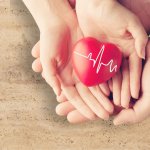 Close-up red Heart in hands, love concept